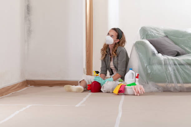 Reliable Commercial Mold Remediation contractor in Cross Junction, VA by WQB Mold Removal