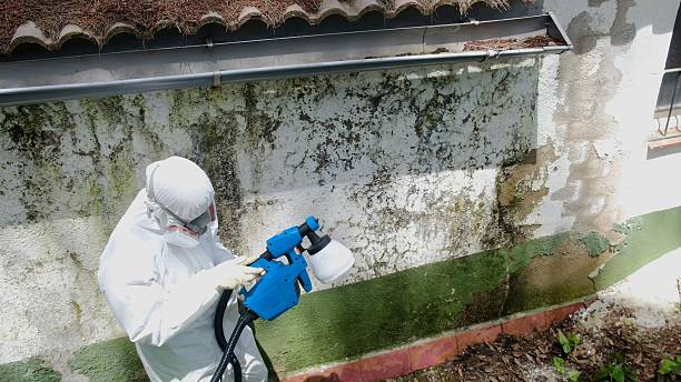 Top rated local Commercial Mold Remediation specialists in Cross Junction, VA